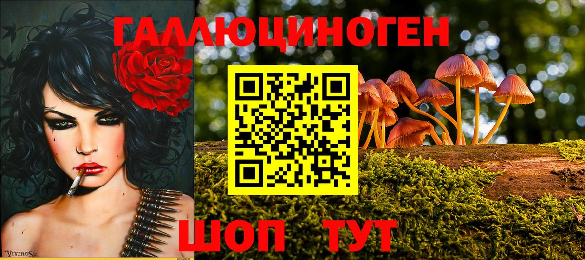 Красный Сулин  Галлюциногенные грибы мицелий  Вход с VPN 