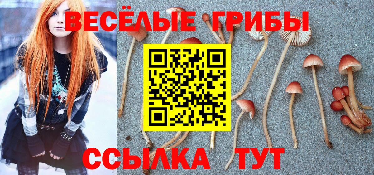 Галлюциногенные грибы Magic Shrooms Красный Сулин